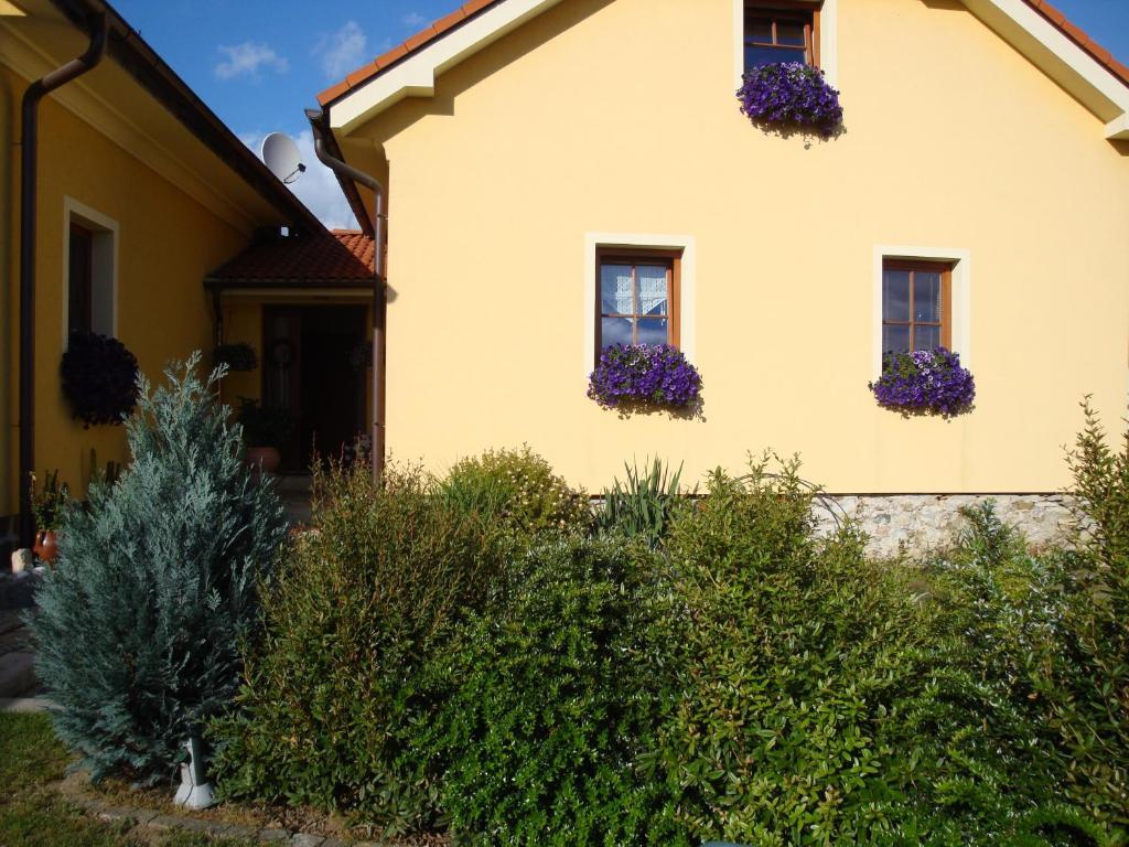 Apartmán Augsten Český Krumlov Exterior foto